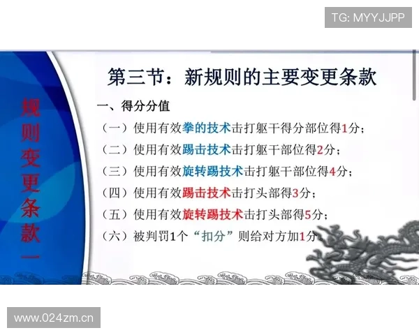 拳击比赛裁判规则解析及其在比赛中的应用与执行标准