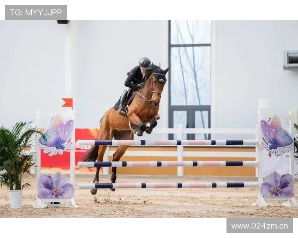 空手道比赛观赛全攻略：规则解读技巧分析和比赛精彩瞬间回顾